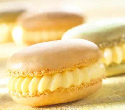 Cremfil Silk Custard