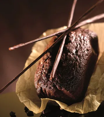 Belcolade Dark Chocolate Stick 300