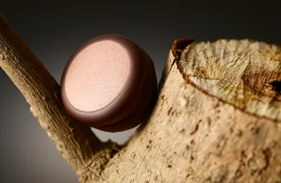 Belcolade Noir Organic Uganda 80% Cacao-Trace