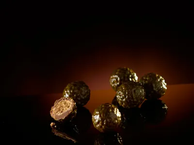 Belcolade Selection Noir Cacao-Trace (Dark Chocolate 55%)