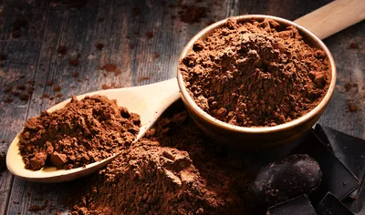 Cacao-Trace CP1 Powder